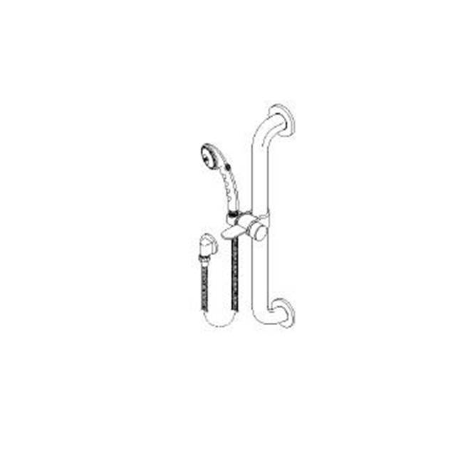 Delta Commercial Commercial HDF®: Single-Setting Hand Shower w/ Grab Bar & Elbow